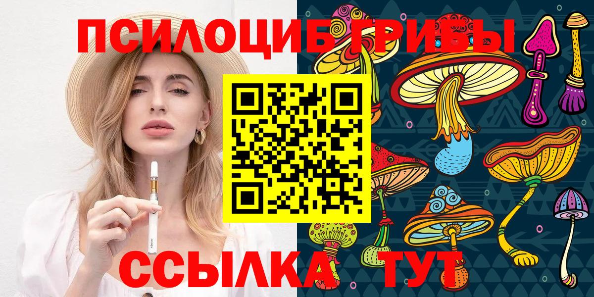 Тайшет  Псилоцибиновые грибы мухоморы  Вход с VPN  Галлюциногенные грибы мицелий 